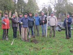 Menschen stehen mit Spaten um einen frisch gepflanzten Baum (Foto: Dörpverein Schinna).