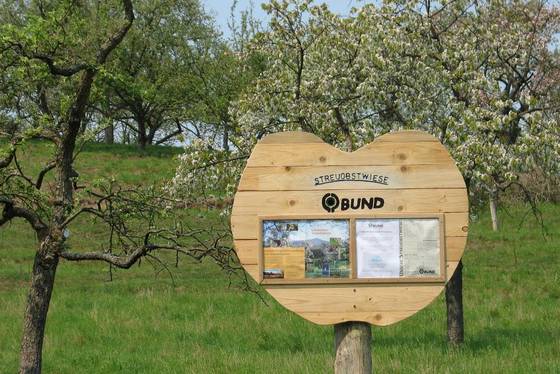 Streuobstwiese der BUND-Kreisgruppe Lüchow-Dannenberg. Foto: Klaus Mayhack