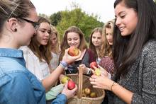 Schülerinnen aus Wolfsburg ernten und verarbeiten Äpfel von einer Streuobstwiese. Foto: Thomas Langreder