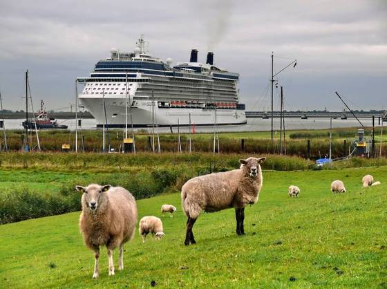 Kreuzfahrtschiff auf der Ems. Foto: Uwe Steen/pixelio.de