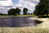 Foto: Elbe bei Gorleben