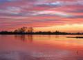 Sonnenuntergang an der Elbe. Foto: Susanne Gerstner