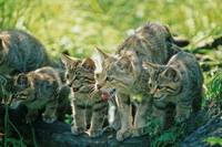 Foto: Thomas Stephan