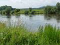 Weser