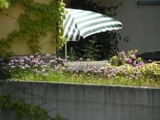 Terrassenoase. Foto: Jana Lübbert