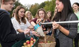 Wolfsburger Schüler ernten Äpfel auf einer BUND-Streuobstwiese. Foto: Thomas Langreder