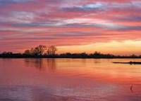 Sonnenuntergang an der Elbe. Foto: Susanne Gerstner