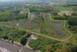 Der Tidepolder Lippenbroek an der Schelde (Belgien). Ein Pilotpolder soll auch Teil des Masterplans Ems werden. Foto: BUND