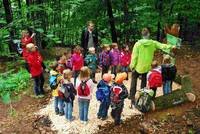 Kinder an Erlebnisstation des Wildkatzen-Walderlebnis (Fotograf: Hans-Georg Mendel)