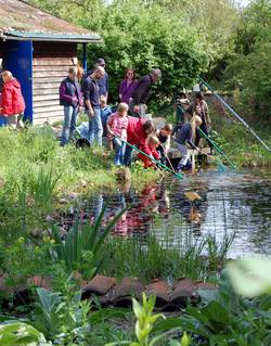 Foto: Kinder und Jugendliche im Nienburger Schau- und Lehrgarten