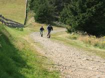 Sport auf dem Wurmberg im Sommer. Foto: Friedhart Knolle