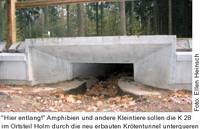 Foto: Amphibientunnel