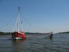 Elbe. Foto: Jürgen Mumme / BUND Hamburg