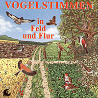 Cover: Vogelstimmen