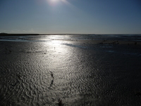 Wattenmeer. Foto: Indabas GBR